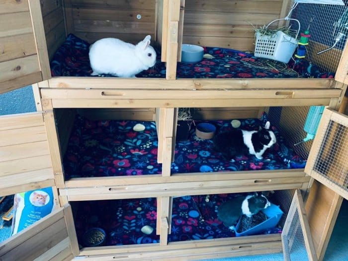 DA98A754 F5F8 4483 9279 FFC87C7A4C0F