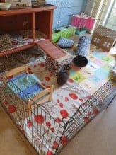 E14FA93F 4BA7 4DFB A5C4 FAA2C4DD6F1C