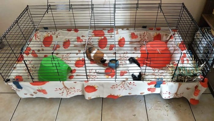 guinea pig fleece liner hedge hog