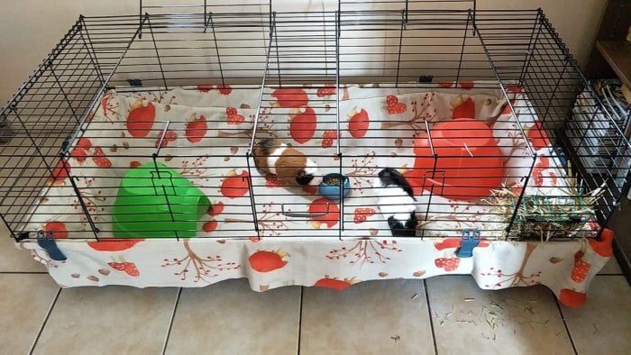 guinea pig fleece liner hedge hog