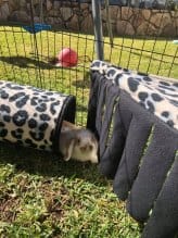 769C32FC 1AA3 45D0 A5F5 1A6E5CA812A6