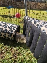 769C32FC 1AA3 45D0 A5F5 1A6E5CA812A6