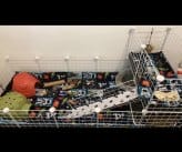 CC Absorbent Fleece Liner