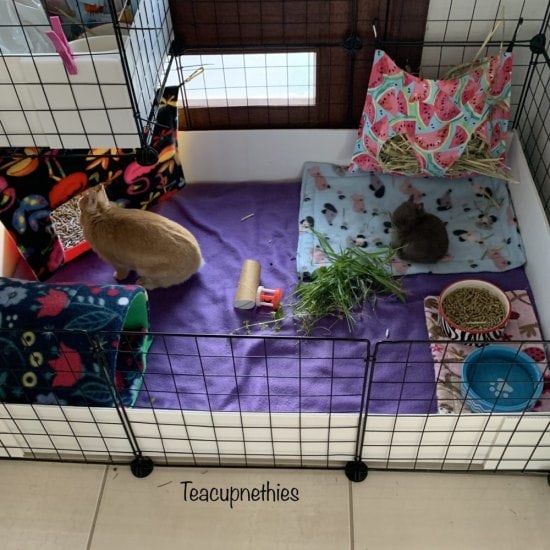 CC Absorbent Fleece Liner 2