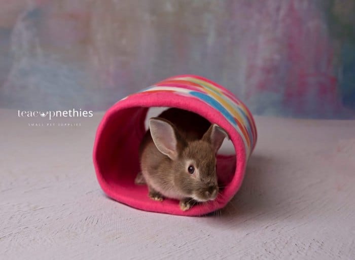 professional photo fleece tunnel rabbit inside