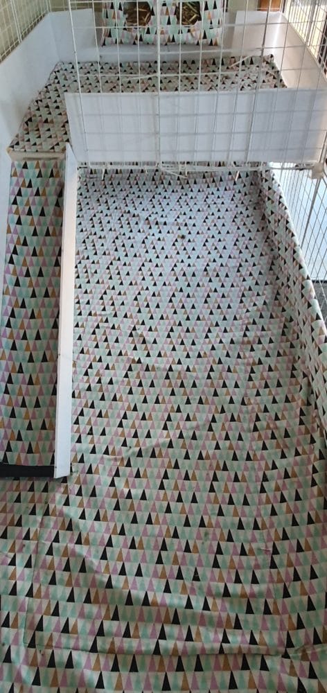 EDE4B5D3 F8FC 415E 9B59 28F09AF1508D