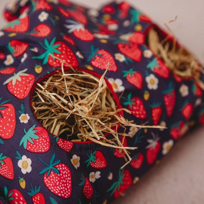 Teacup Nethies Hay Bag - Strawberry Close up