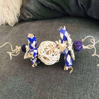 chew toy for rabbits and ginea pigs