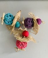 guinea pigs with blooms of fun