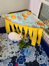 fleece corner curtain rabbit