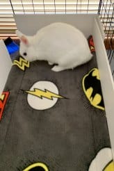 8F94E00F 9721 4500 BAA3 790A0D2EAAFE