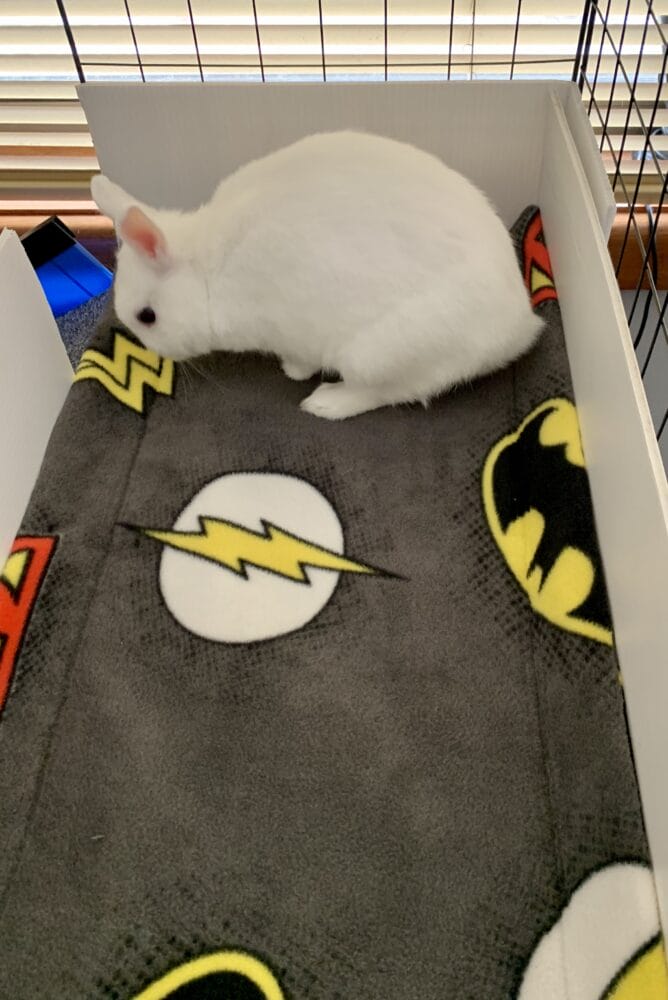 8F94E00F 9721 4500 BAA3 790A0D2EAAFE