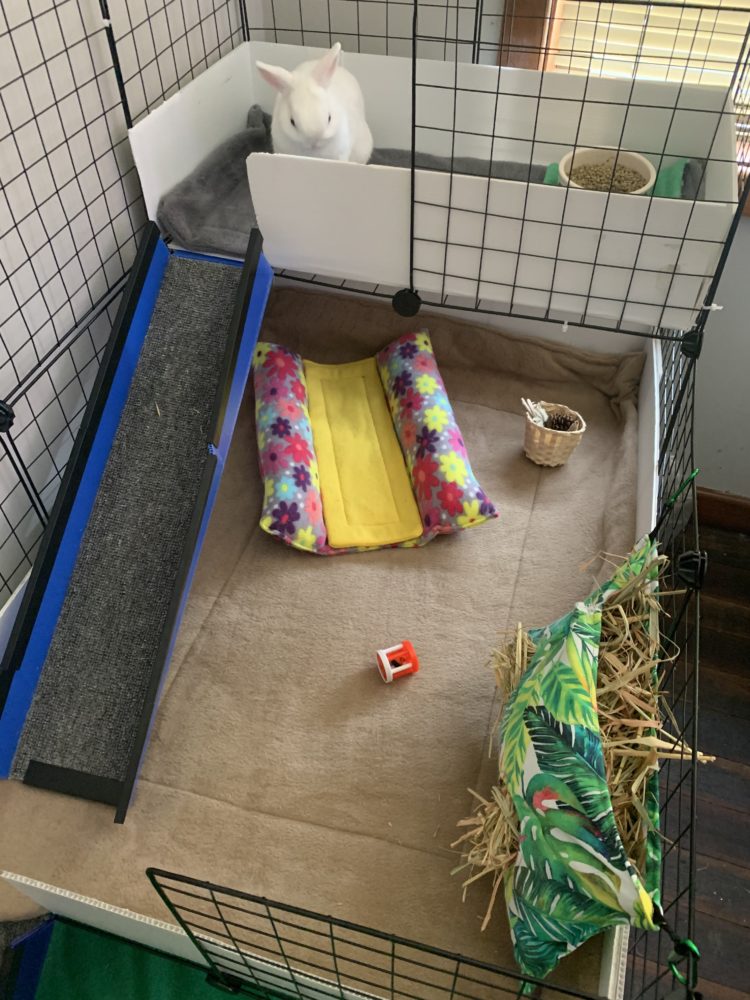 Quick step by step guide to cleaning fleece. 4 Quick step by step guide to cleaning fleece.