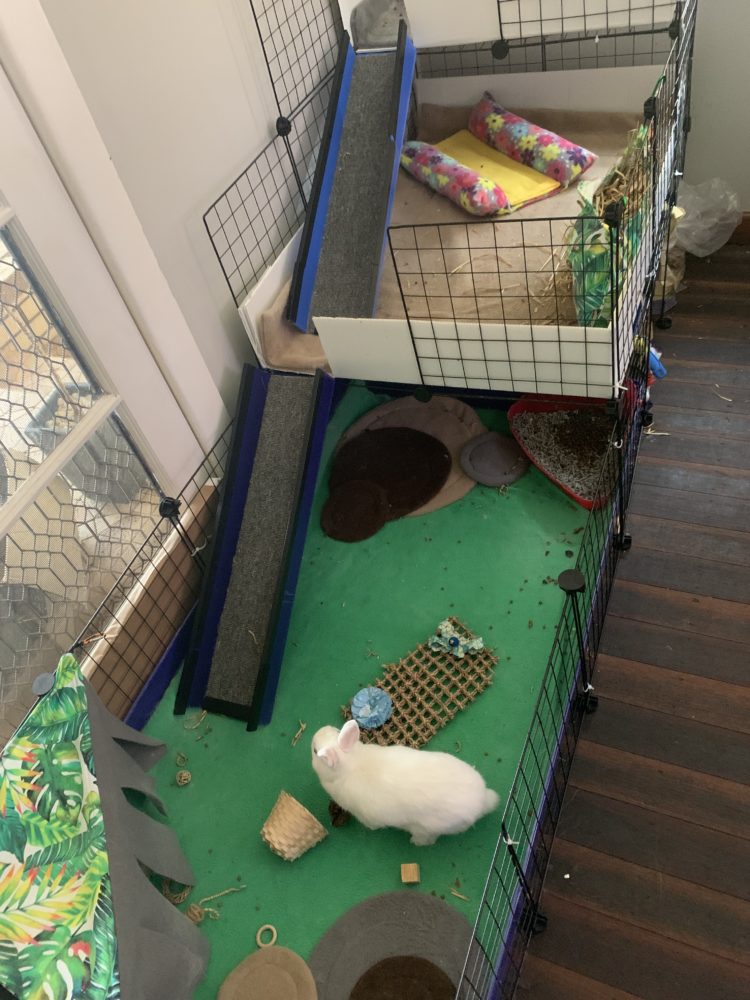 Quick step by step guide to cleaning fleece. 1 Quick step by step guide to cleaning fleece.