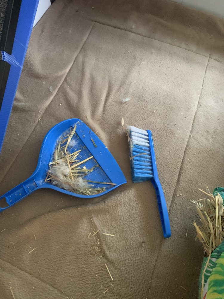 Quick step by step guide to cleaning fleece. 2 Quick step by step guide to cleaning fleece.