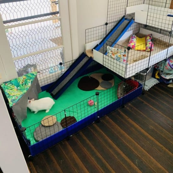 Quick step by step guide to cleaning fleece