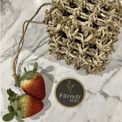 cube toy treat guinea pig and rabbits