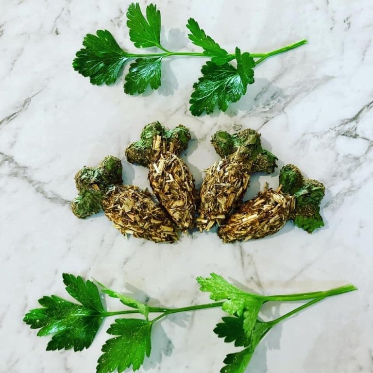 Guinea pig accessorise