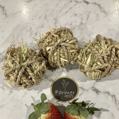 seagrass treat balls for guinea pig and rabbits toy