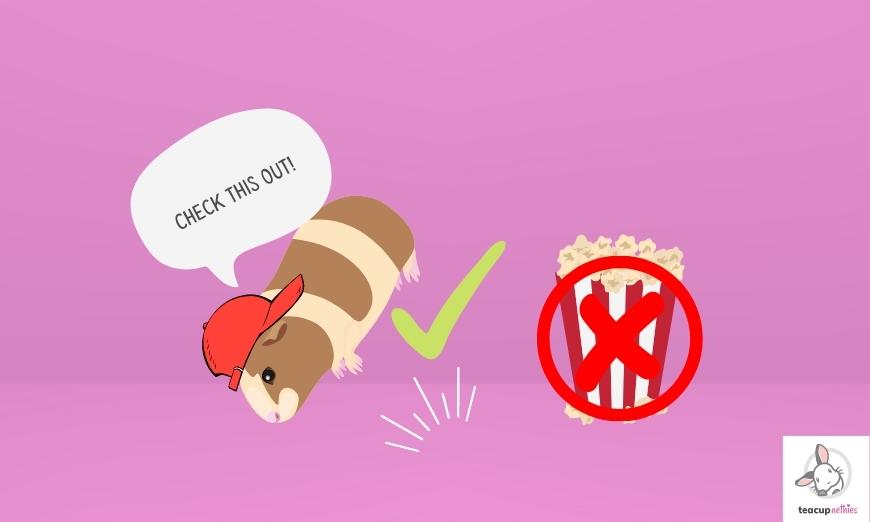 15 fun & amazing facts about guinea pigs 3 15 fun & amazing facts about guinea pigs