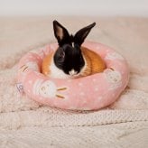 Teacup Nethies Donut Bed - Rabbit acccessories