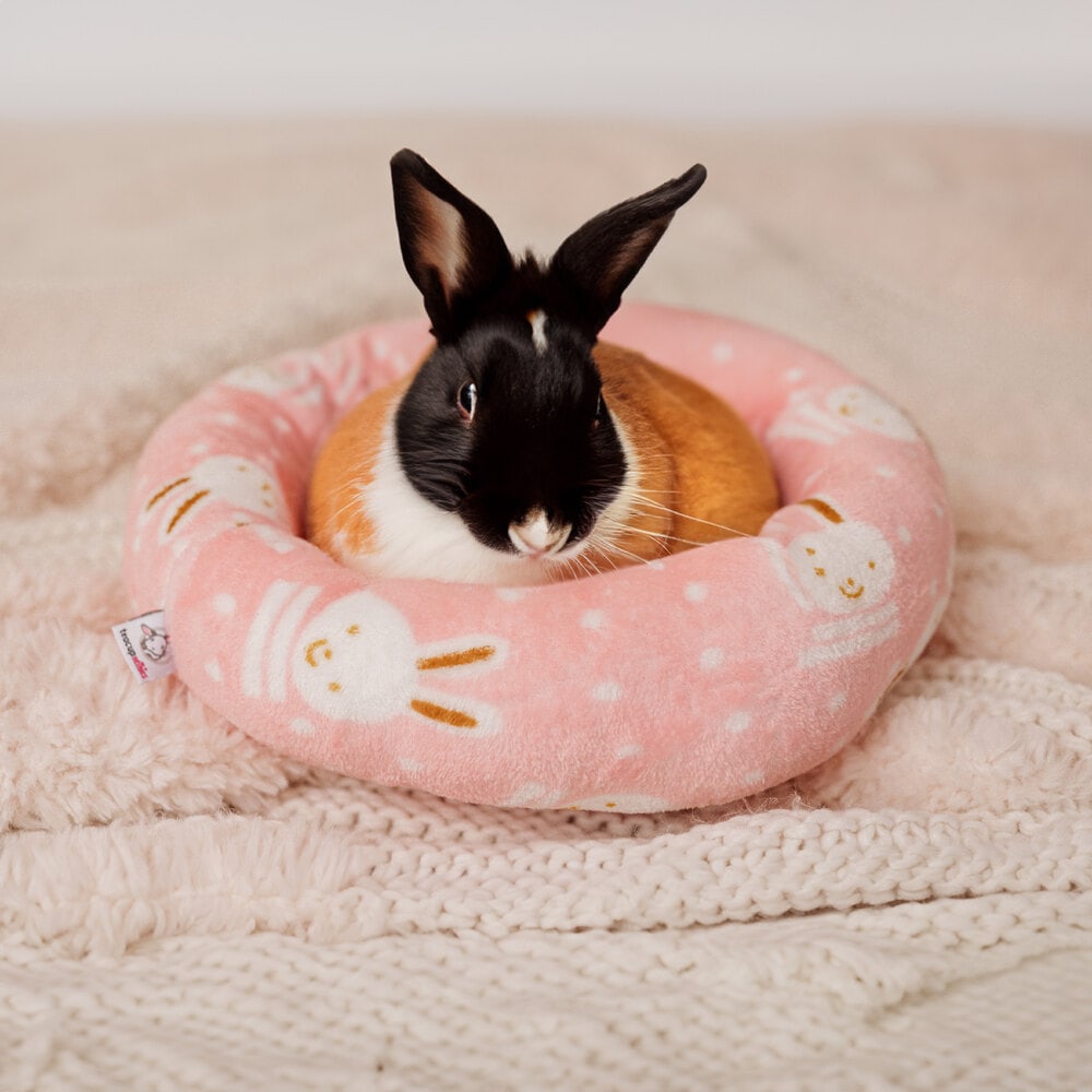 Luxurious premium rabbit beds 1 Teacup nethies donut bed - rabbit sitting inside