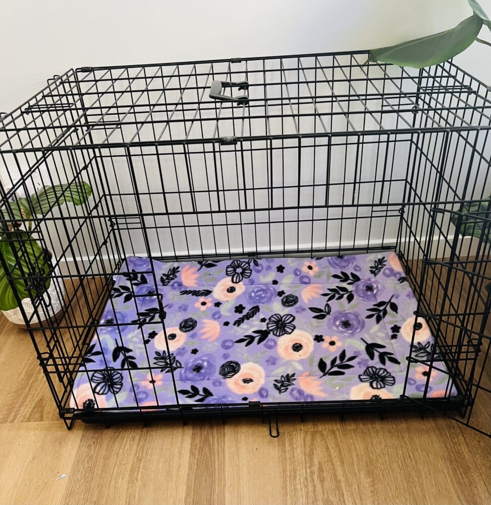 What to Put in Dog Crate: Essential Comfort Items