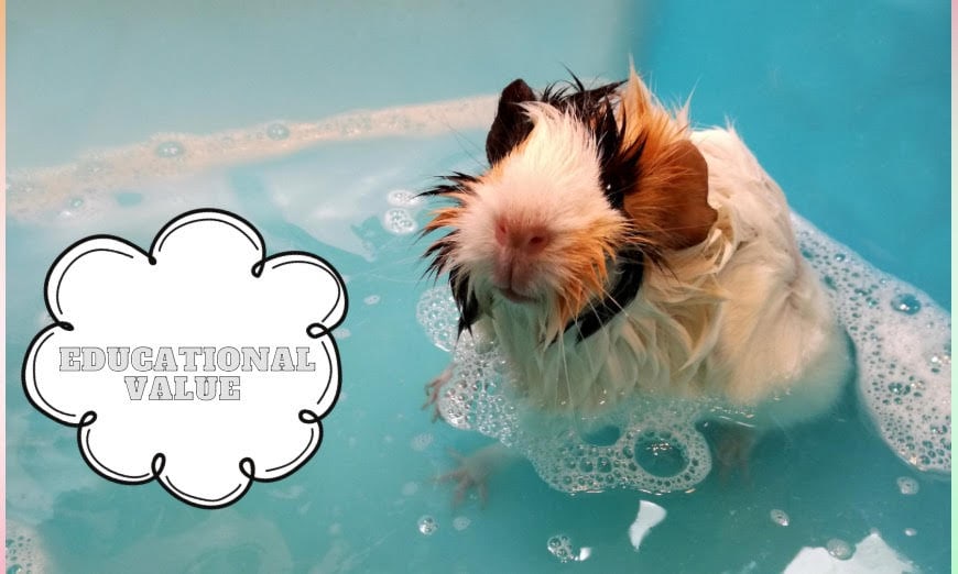 Children & guinea pigs: a tale of friendship, learning, and fun! 3 Educational value