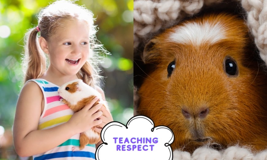 Children & guinea pigs: a tale of friendship, learning, and fun! 6 Teaches respect for animals