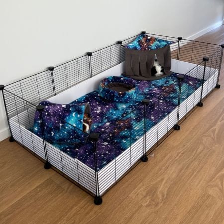 C&C Cage by Teacup Nethies