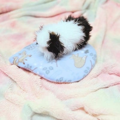 snugge safe heat [ack cover