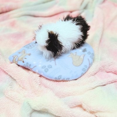 snugge safe heat [ack cover