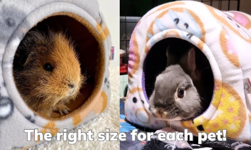 Why quality tunnels & hides matter for your small pet 4 Why quality tunnels & hides matter for your small pet