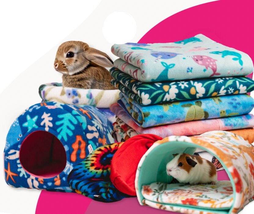 Why quality tunnels & hides matter for your small pet 5 Why quality tunnels & hides matter for your small pet