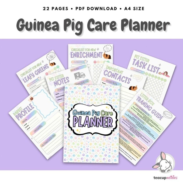 Checklist What Do I Need For My Guinea Pig Ultimate Guinea Pig