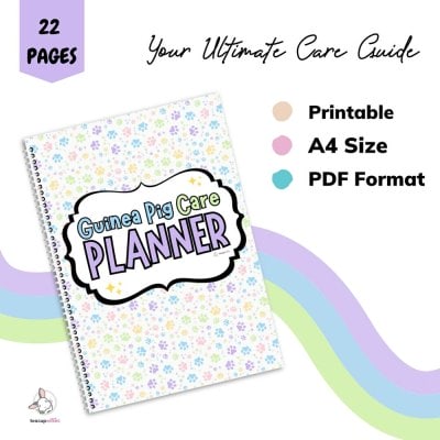 guinea pig care planner guide