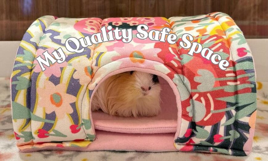 Why quality tunnels & hides matter for your small pet 1 Why quality tunnels & hides matter for your small pet
