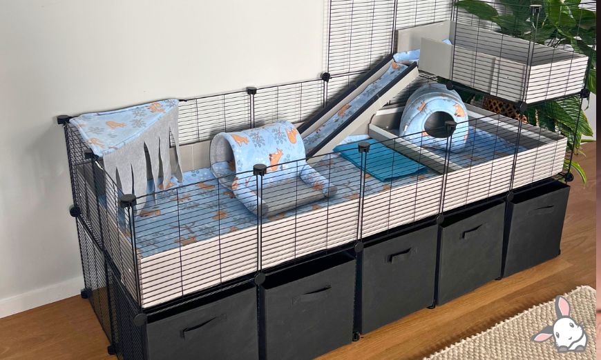 Top 150 guinea pig names (male & female) 4 Top 150 guinea pig names (male & female)