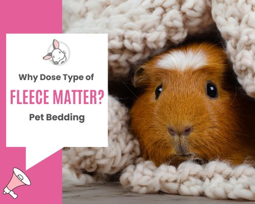 fleece for guinea pigs