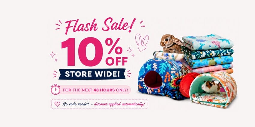 Flash Sale! 10% Off sitewide