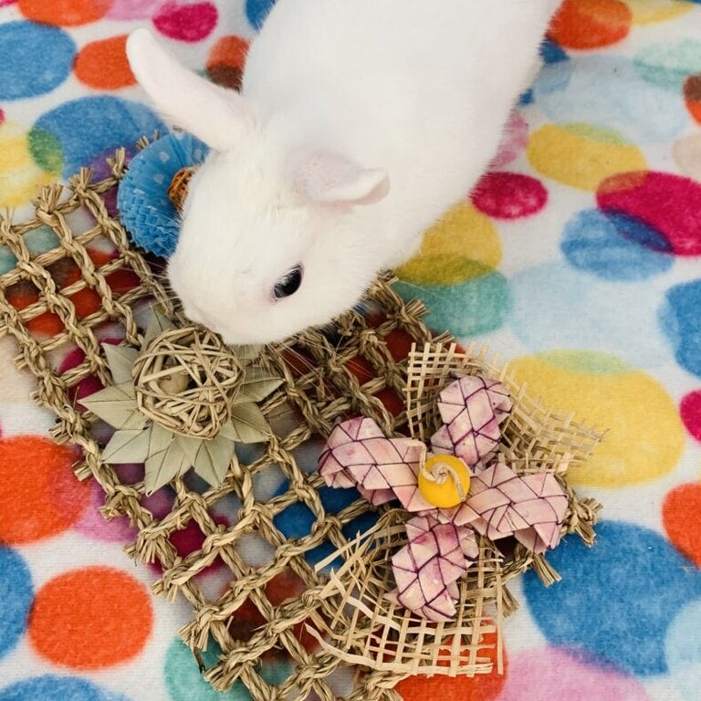 Bunny with seagrass activity mat toy Bunny with seagrass activity mat toy